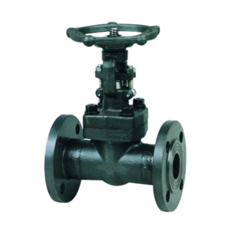 TEYI Forged Steel Gate Valves High strength construction Resistant to extreme conditions and long life with easy maintenance (ask customer service for price)