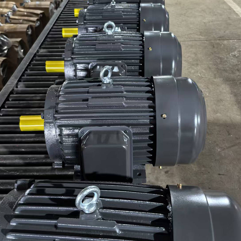 ligong YE3/IE3 series motors High efficiency and energy saving High insulation level (please ask customer service for price)