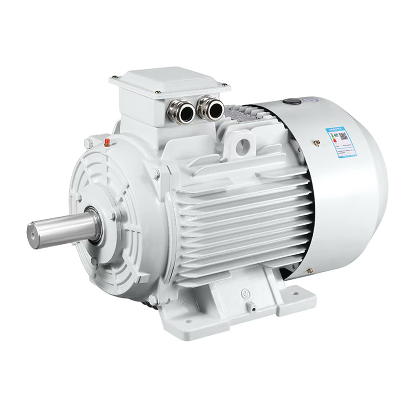 ligong YE4/IE4 series motors Energy efficient motors Low vibration and low noise (ask customer service for price)