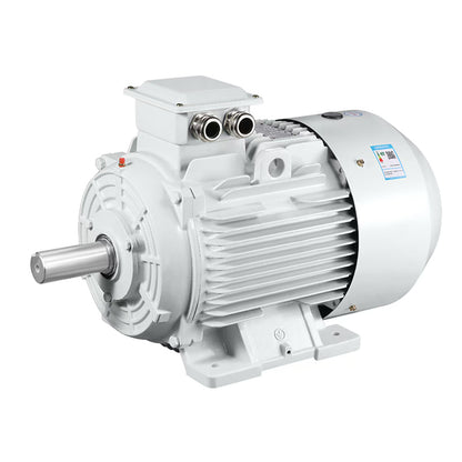 ligong YE4/IE4 series motors Energy efficient motors Low vibration and low noise (ask customer service for price)