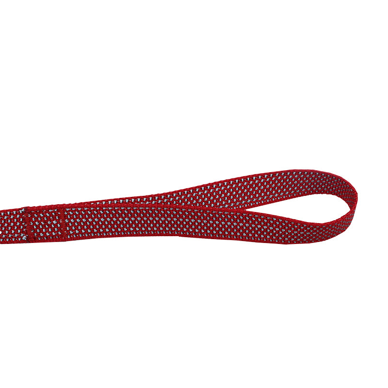 FUZHIWANG Collar (Full star) and Tow rope (Full star) choker Dog leash   Durable.