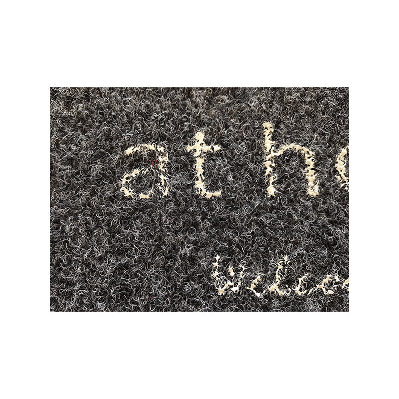 Xulong carpet industry   Coarse silk printed sheet Household anti-skid floor mat thickened carpet
