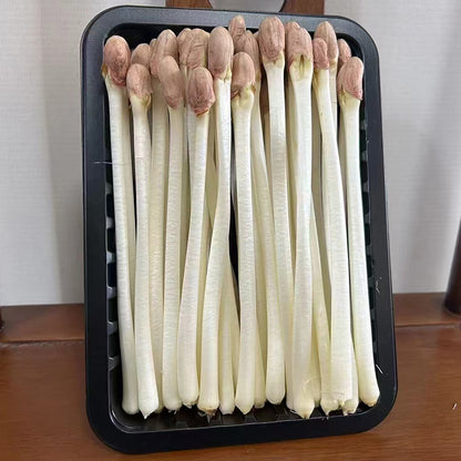 languoshi Peanut Buds Sample(about 250 grams per box) Specialty Ingredients Stir-fry with cold vegetables Fresh vegetables