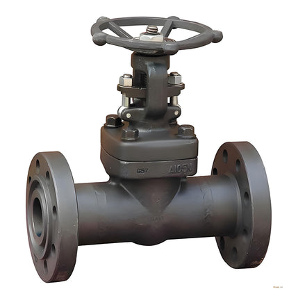 TEYI Forged Steel Gate Valves High strength construction Resistant to extreme conditions and long life with easy maintenance (ask customer service for price)