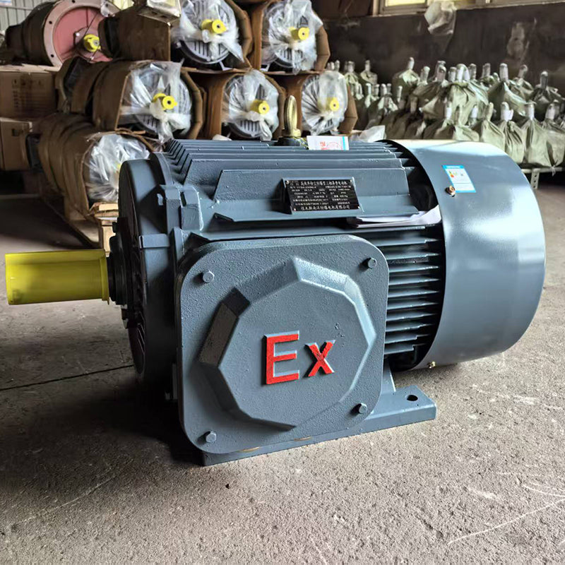 ligong Explosion-proof series motors Fast braking Good protection (ask customer service for price)