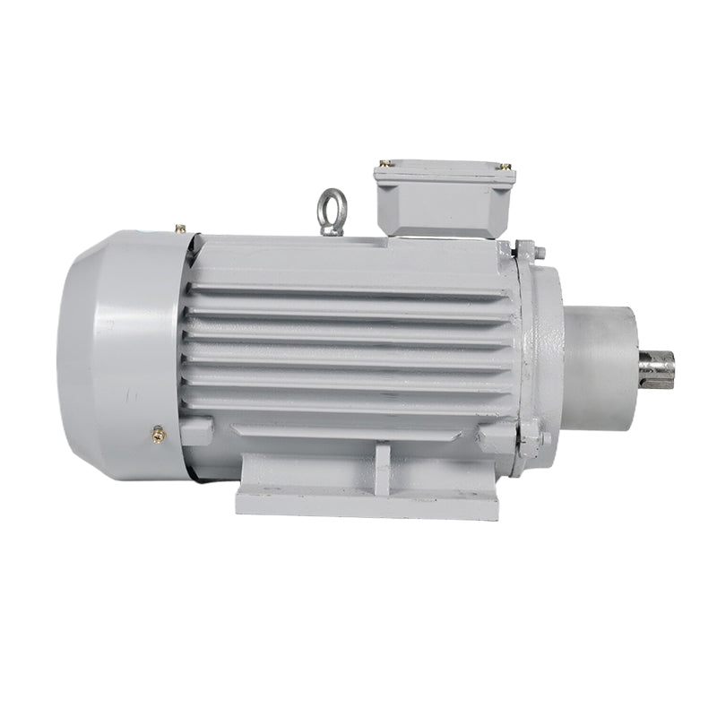 ligong YE4/IE4 series motors Energy efficient motors Low vibration and low noise (ask customer service for price)