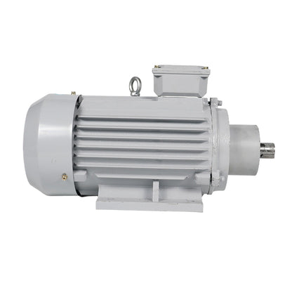 ligong YE4/IE4 series motors Energy efficient motors Low vibration and low noise (ask customer service for price)