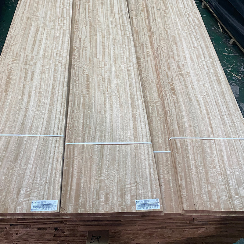 senzhonghuang Eucalyptus natans (ask customer service for price)