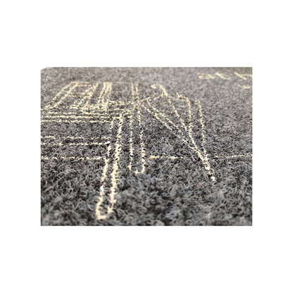 Xulong carpet industry   Coarse silk printed sheet Household anti-skid floor mat thickened carpet