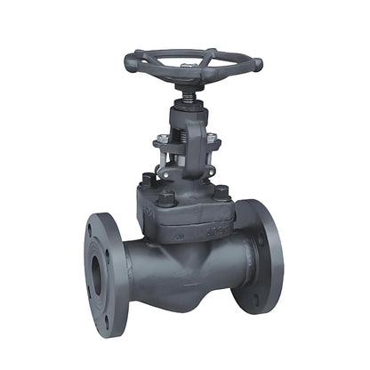 TEYI Forged Steel Globe Valves High strength construction, resistance to extreme conditions and excellent sealing performance (ask customer service for price)