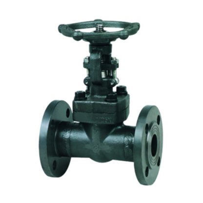 TEYI Forged Steel Gate Valves High strength construction Resistant to extreme conditions and long life with easy maintenance (ask customer service for price)