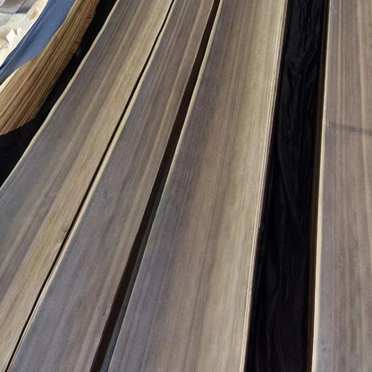 senzhonghuang Eucalyptus natans (ask customer service for price)