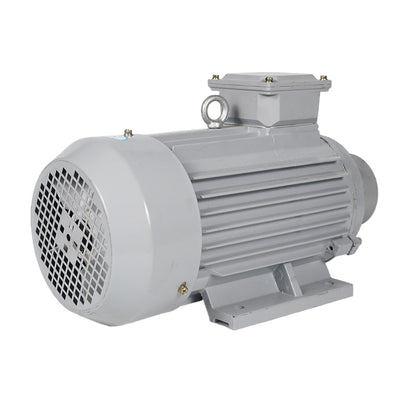 ligong YE4/IE4 series motors Energy efficient motors Low vibration and low noise (ask customer service for price)
