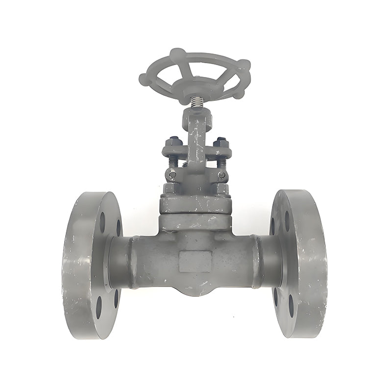 TEYI Forged Steel Globe Valves High strength construction, resistance to extreme conditions and excellent sealing performance (ask customer service for price)
