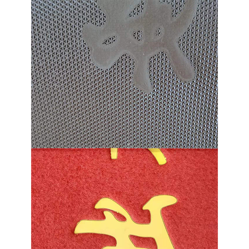Xulong carpet industry    Embossed with gold letters Door mat silk ring household door mat