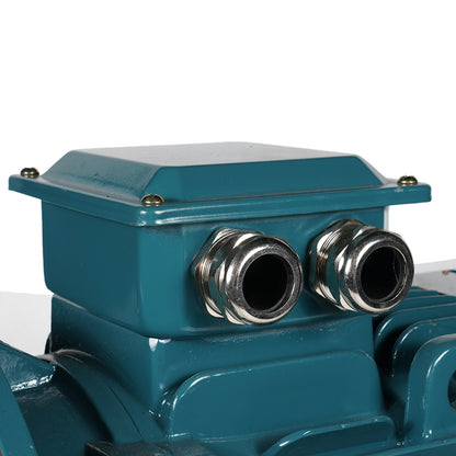 ligong YE5/IE5 series motors Ultra-high efficiency High protection level (ask customer service for price)