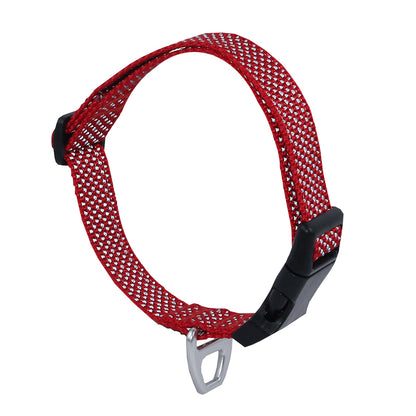 FUZHIWANG Collar (Full star) and Tow rope (Full star) choker Dog leash   Durable.