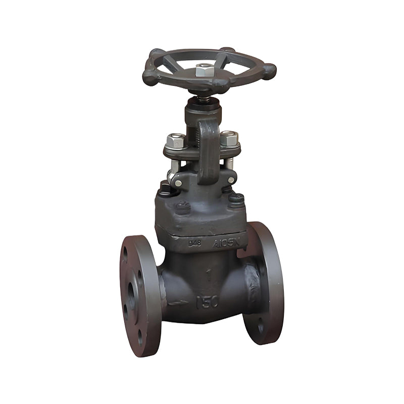 TEYI Forged Steel Globe Valves High strength construction, resistance to extreme conditions and excellent sealing performance (ask customer service for price)