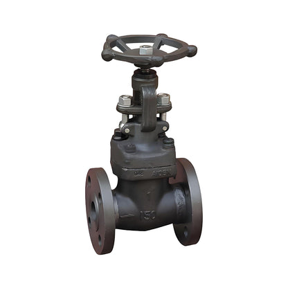 TEYI Forged Steel Globe Valves High strength construction, resistance to extreme conditions and excellent sealing performance (ask customer service for price)