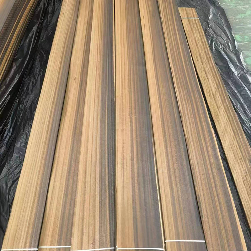 senzhonghuang Eucalyptus natans (ask customer service for price)