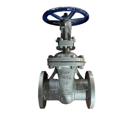 TEYI Gate valve Good sealing, reliable sealing, small flow resistance large diameter (price please ask customer service)