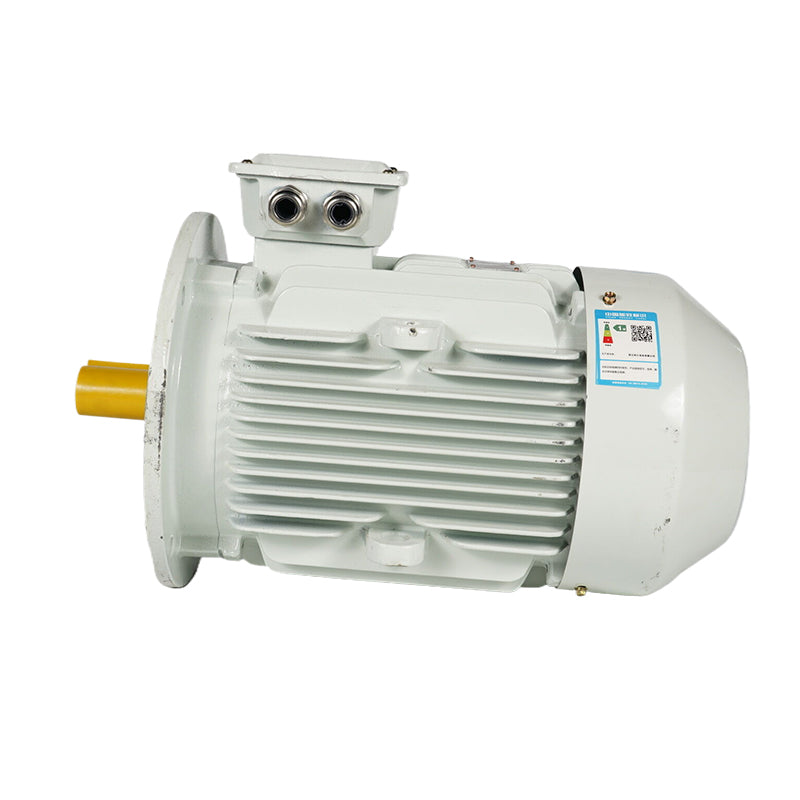 ligong YE4/IE4 series motors Energy efficient motors Low vibration and low noise (ask customer service for price)