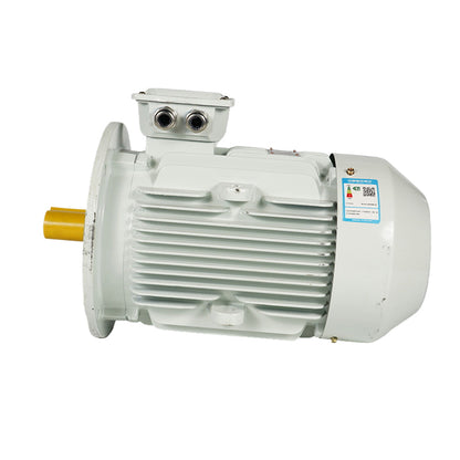 ligong YE4/IE4 series motors Energy efficient motors Low vibration and low noise (ask customer service for price)