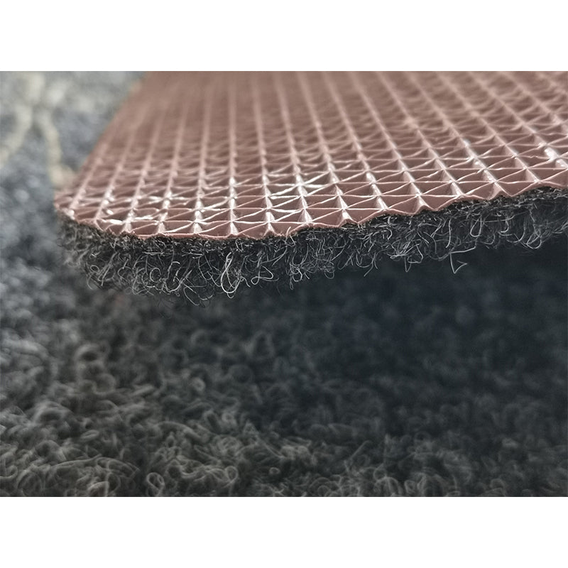 Xulong carpet industry   Coarse silk printed sheet Household anti-skid floor mat thickened carpet