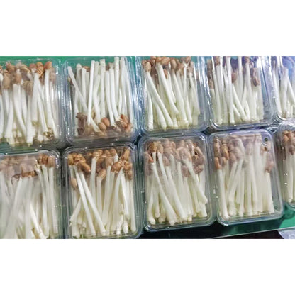 languoshi Peanut Buds Sample(about 250 grams per box) Specialty Ingredients Stir-fry with cold vegetables Fresh vegetables