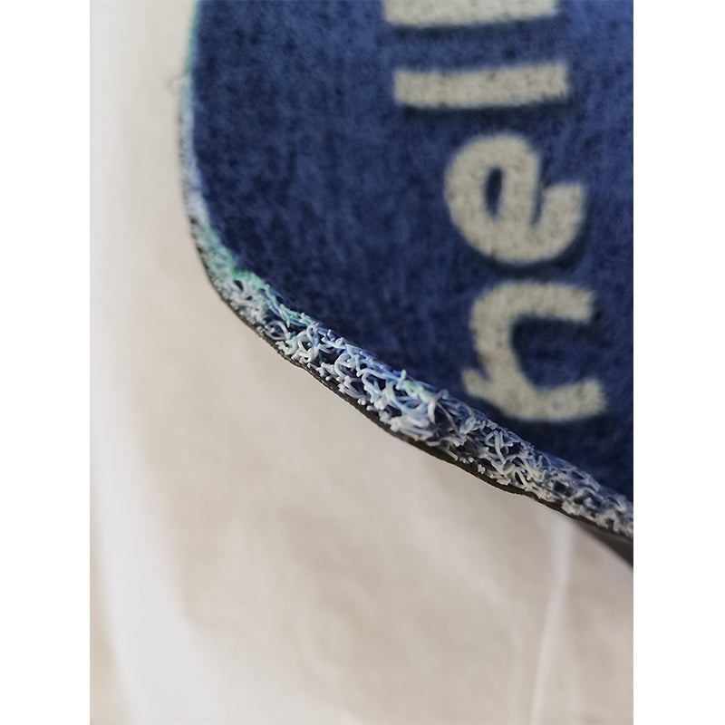 Xulong carpet industry    Colorful printing sheet   Silk ring doormat can be customized for entrance carpets, household anti-skid floor mats