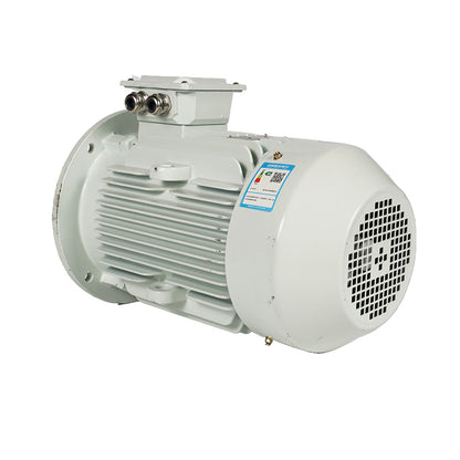 ligong YE4/IE4 series motors Energy efficient motors Low vibration and low noise (ask customer service for price)