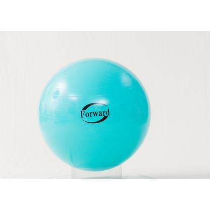 Feilong plastic    Fitness balls