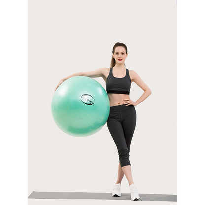 Feilong plastic   Explosion-proof fitness balls