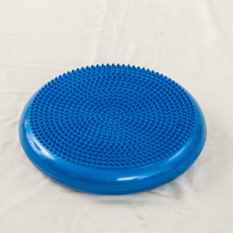 Feilong plastic     Massage cushion
