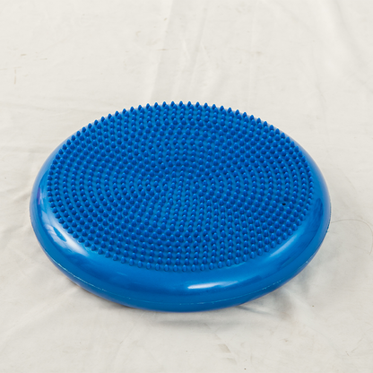 Feilong plastic     Massage cushion