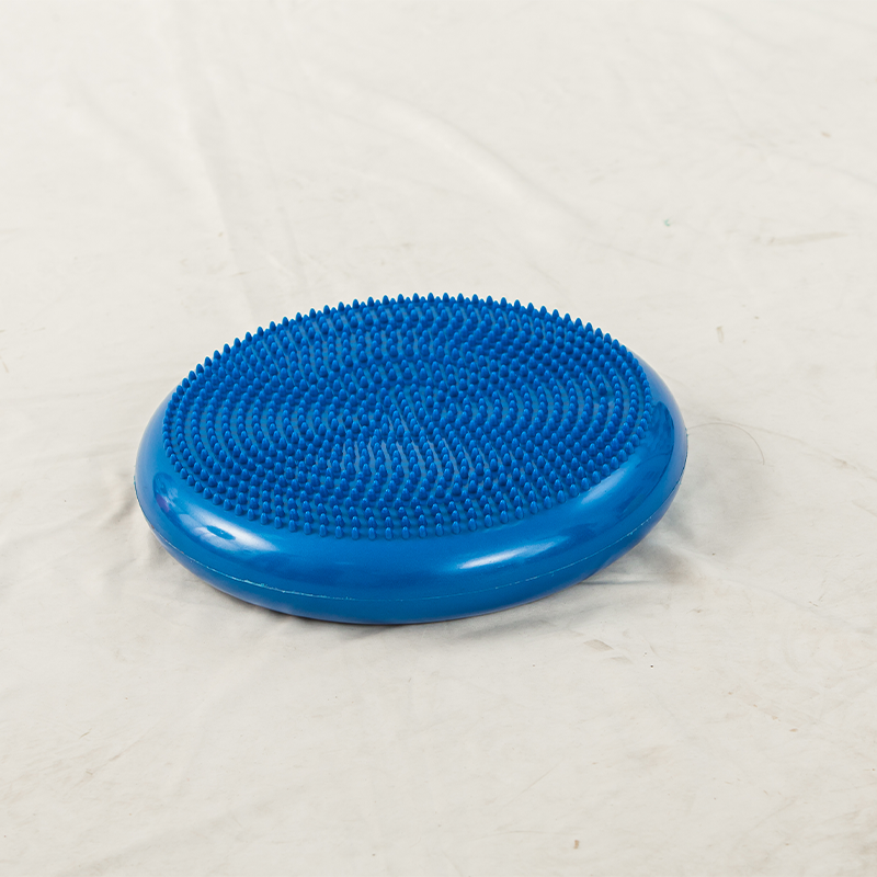 Feilong plastic     Massage cushion