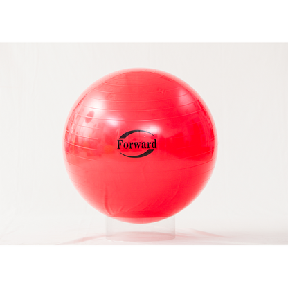 Feilong plastic    Fitness balls