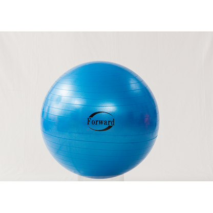 Feilong plastic   Explosion-proof fitness balls