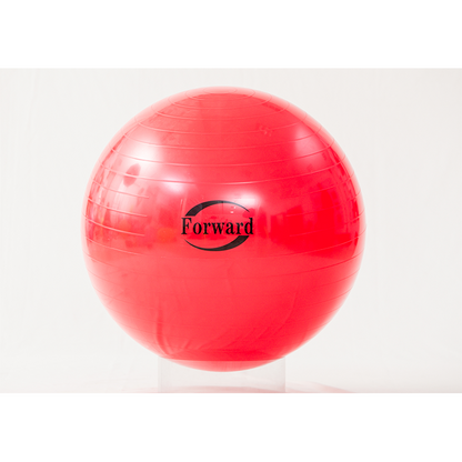 Feilong plastic    Fitness balls