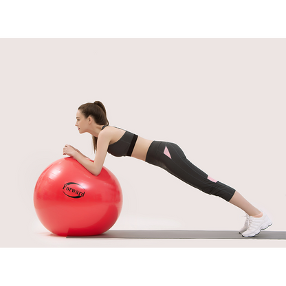 Feilong plastic    Fitness balls